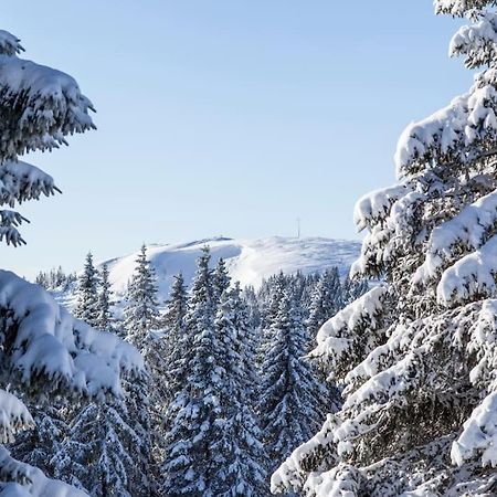 Waldtwin 2 Titisee 외부 사진