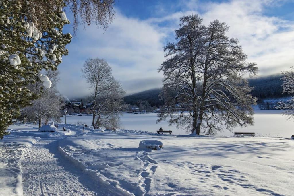 Waldtwin 2 Titisee 외부 사진