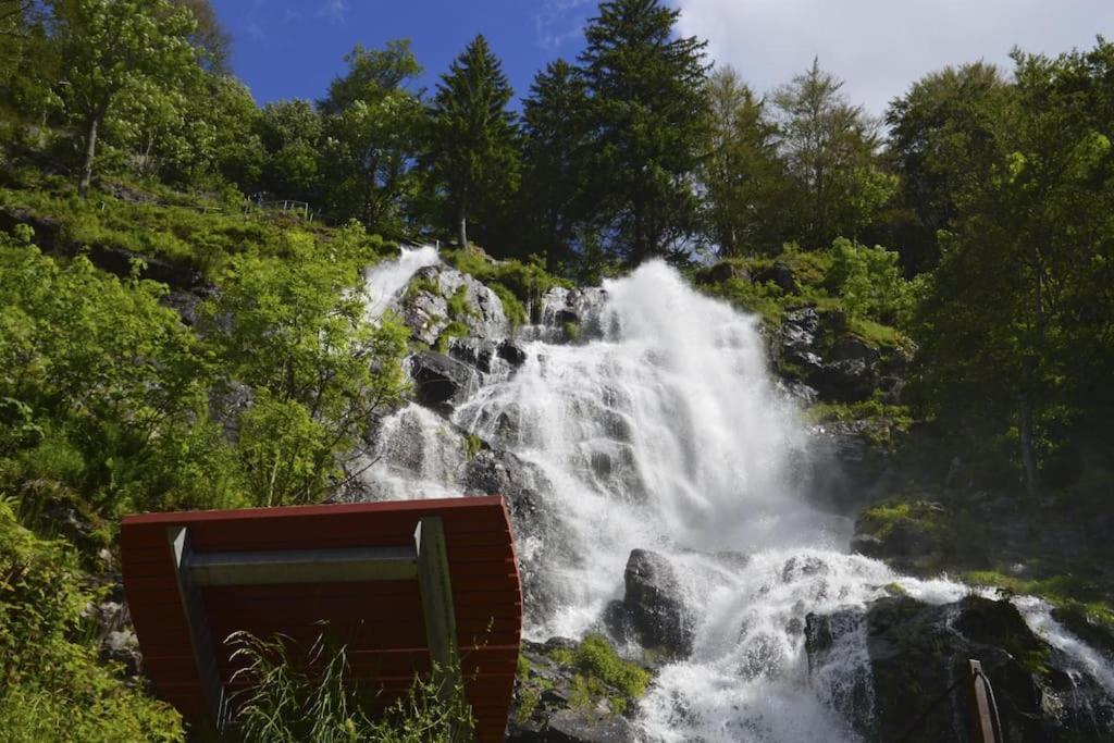 Waldtwin 2 Titisee 외부 사진