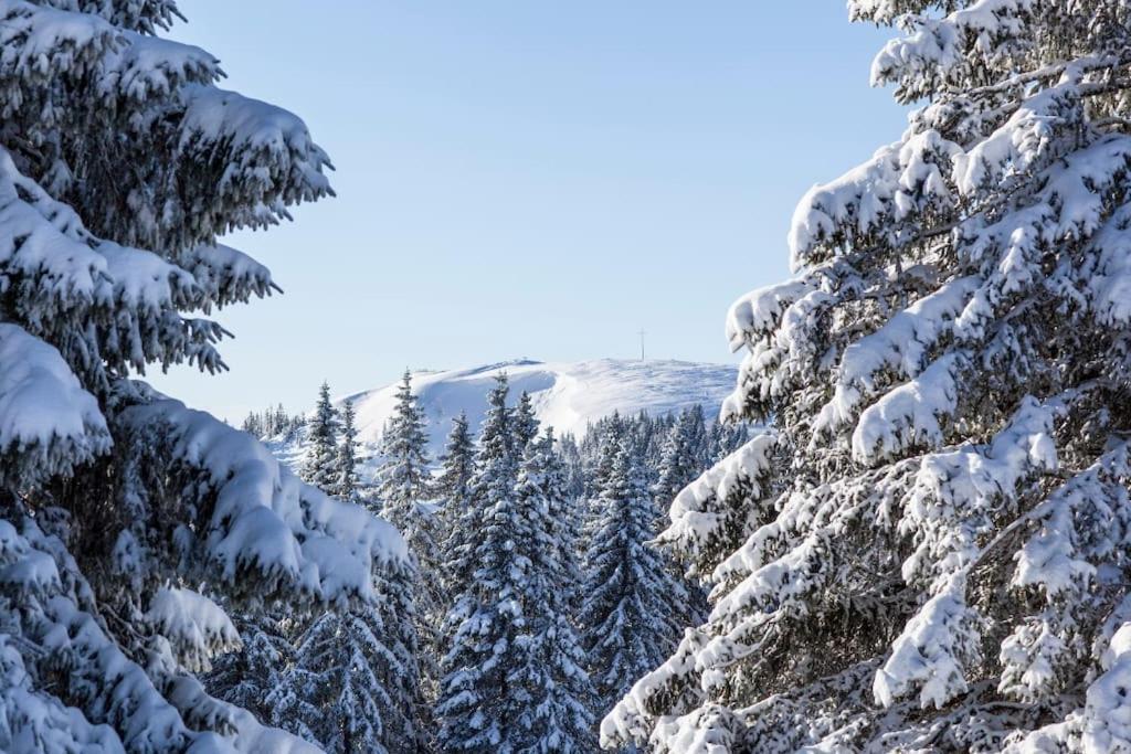 Waldtwin 2 Titisee 외부 사진