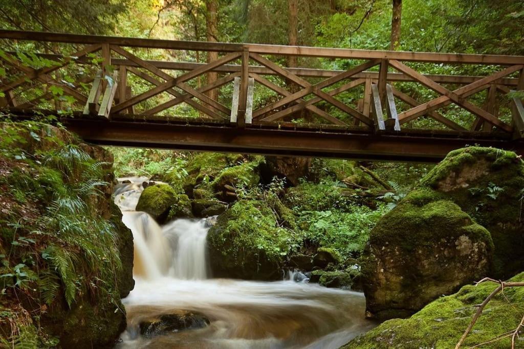 Waldtwin 2 Titisee 외부 사진