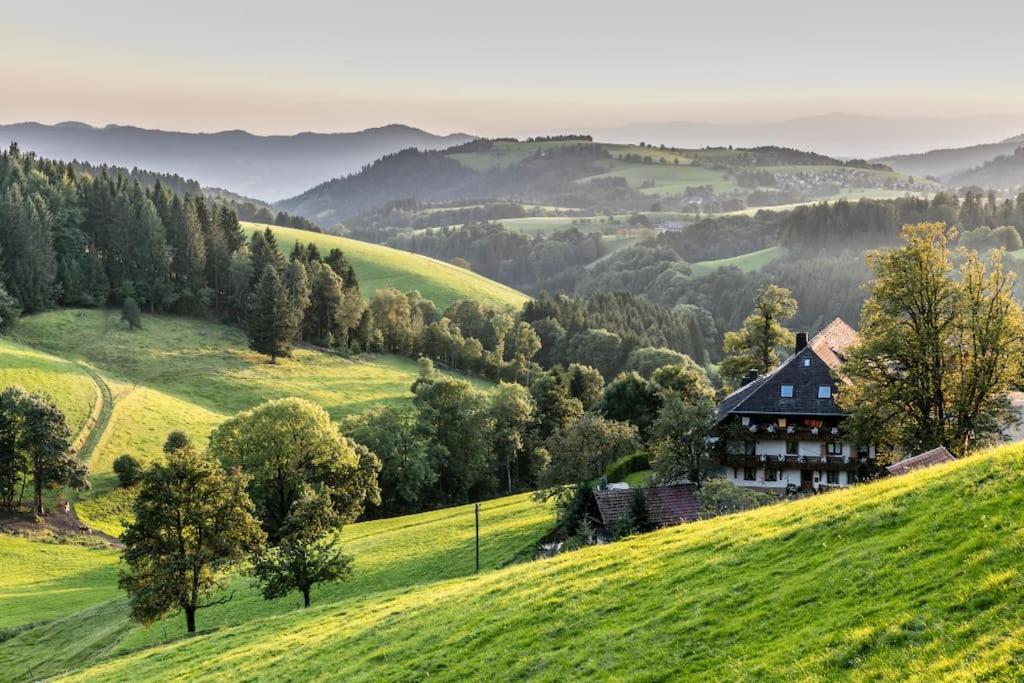 Waldtwin 2 Titisee 외부 사진