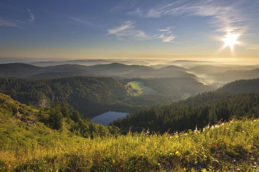 Waldtwin 2 Titisee 외부 사진