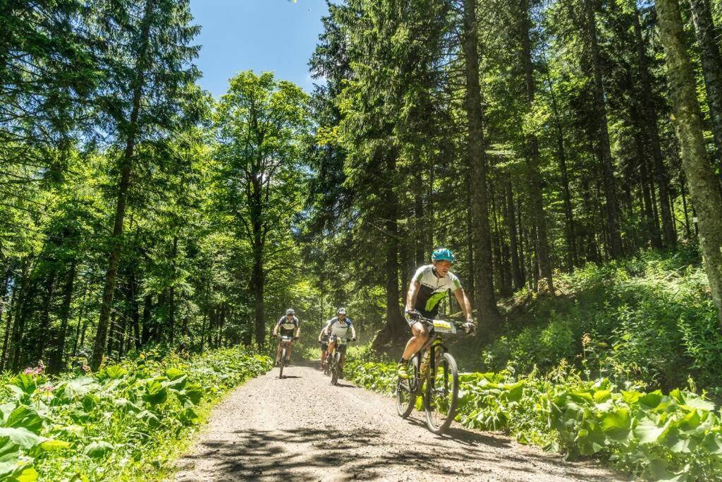 Waldtwin 2 Titisee 외부 사진